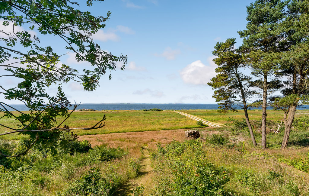 Ferienhaus - Amtoft Strand , Dänemark - C6222 14