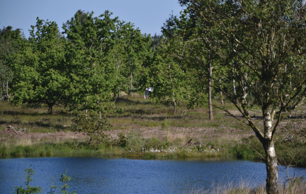 Ferienhaus - Ertebølle Strand , Dänemark - C6224 20