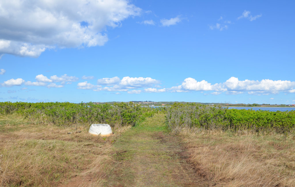 Ferienhaus - Sæbygård Strand , Dänemark - C6315 19