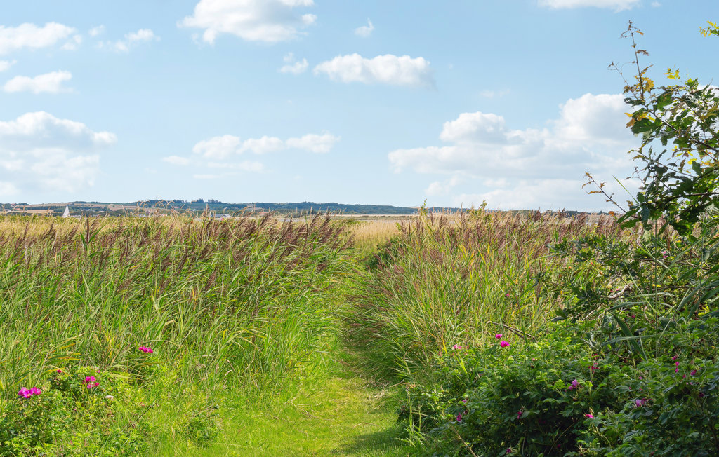 Ferienhaus - Sæbygård Strand , Dänemark - C6315 7