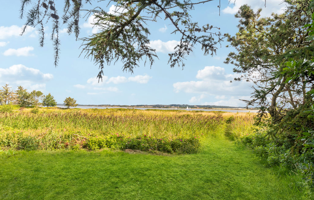Ferienhaus - Sæbygård Strand , Dänemark - C6315 11
