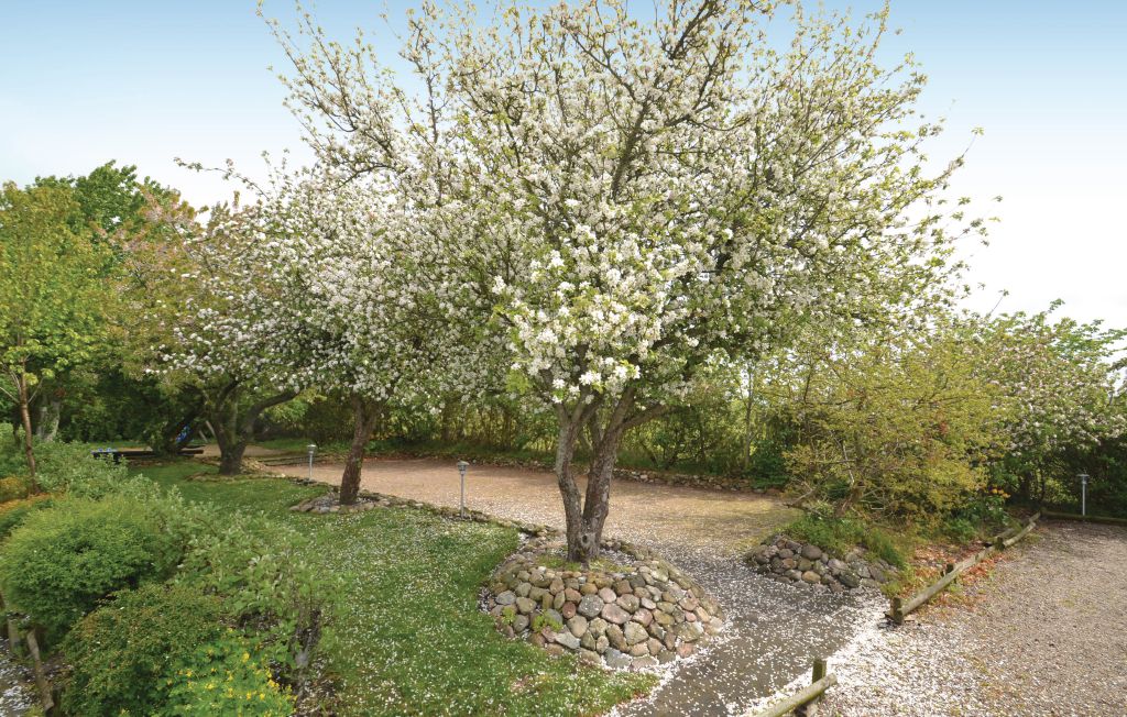 Ferienhaus - Trend , Dänemark - C6442 18