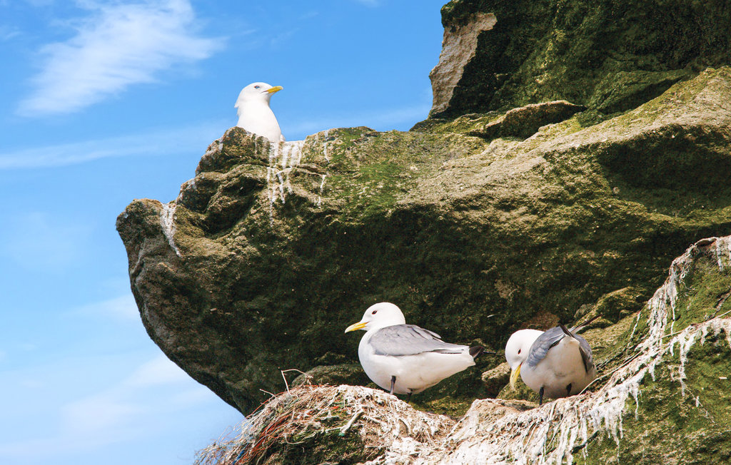 Ferienhaus - Lild Strand , Dänemark - C7084 27