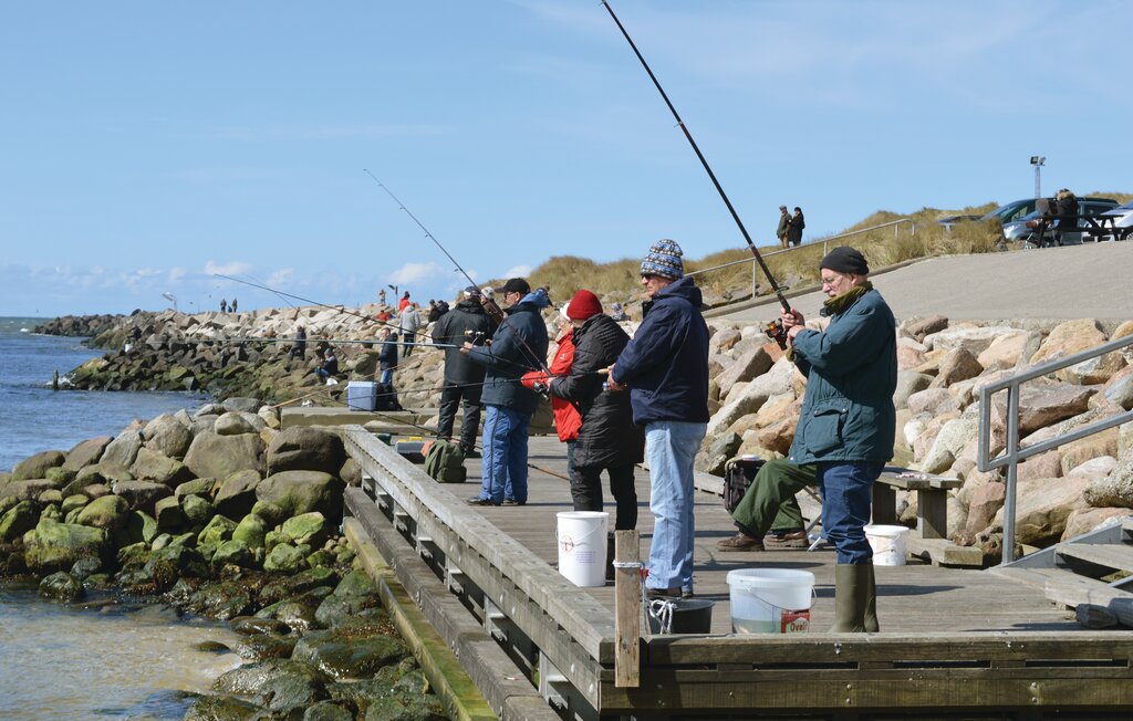 Feriehuse - Nr. Fjand , Danmark - C71058 26