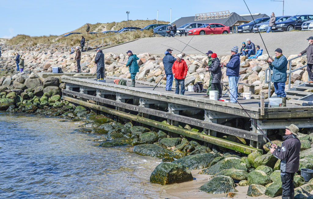 Feriehuse - Fjand , Danmark - C71360 23