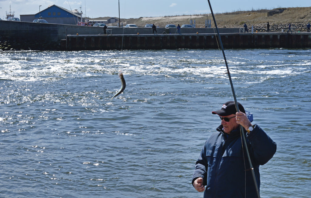 Ferienhaus - Fjand , Dänemark - C71098 29