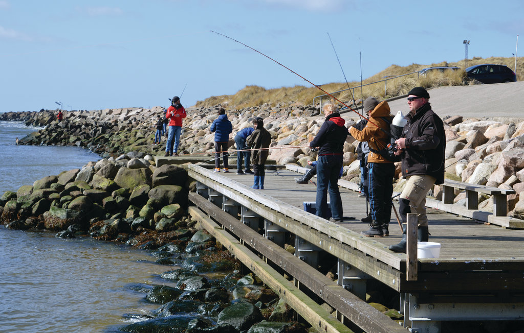 Ferienhaus - Fjand , Dänemark - C71098 28
