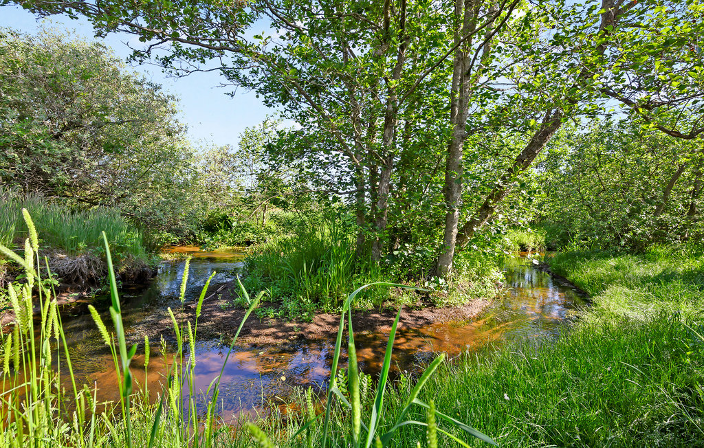 Semesterhus - Slettestrand , Danmark - C7168 13