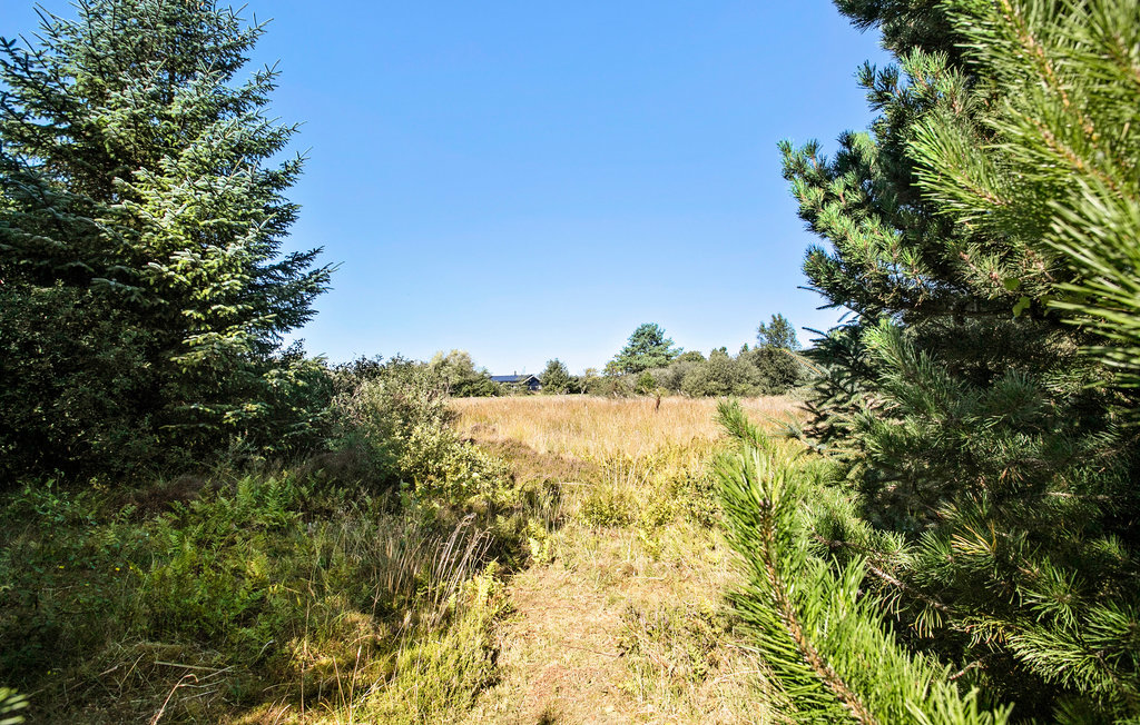 Ferienhaus - Tranum , Dänemark - C7197 8
