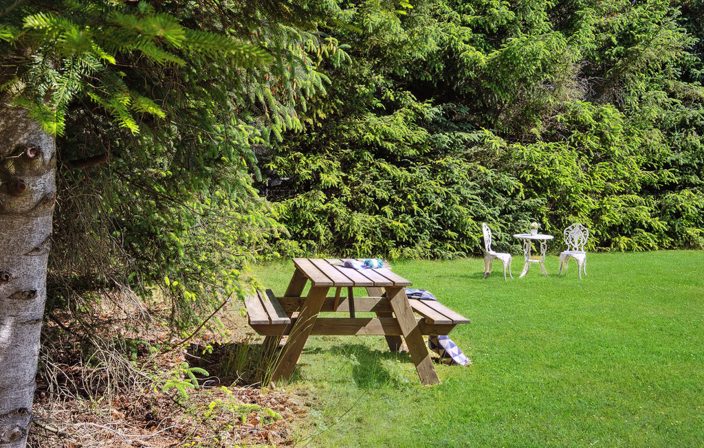 Ferienhaus - Kollerup Klit , Dänemark - C7194 13