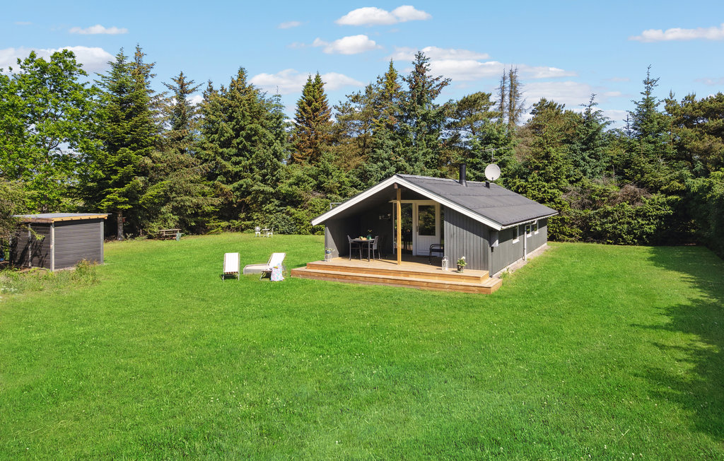 Ferienhaus - Kollerup Klit , Dänemark - C7194 1