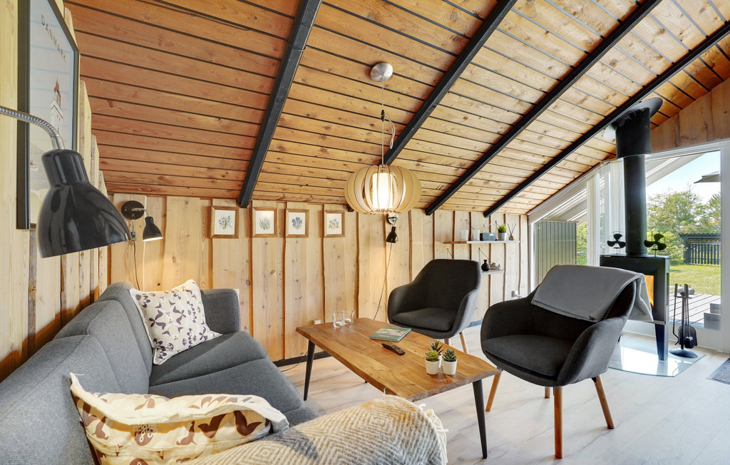 Ferienhaus - Kollerup Klit , Dänemark - C7229 5