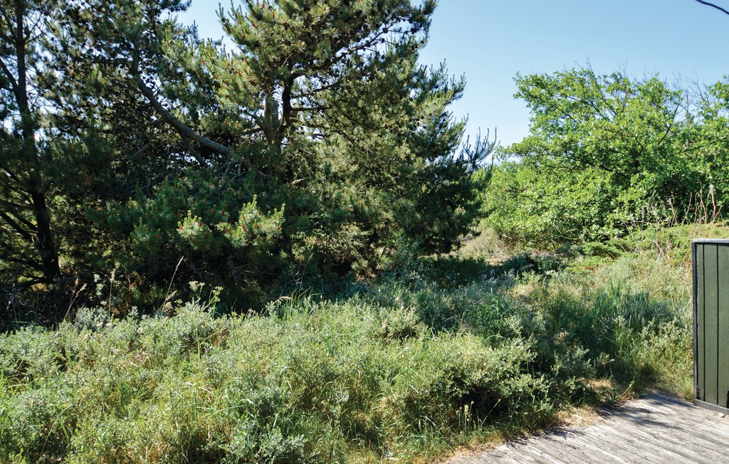 Ferienhaus - Slettestrand , Dänemark - C7352 6