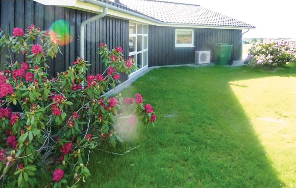 Ferienhaus - Kollerup Klit , Dänemark - C7362 11