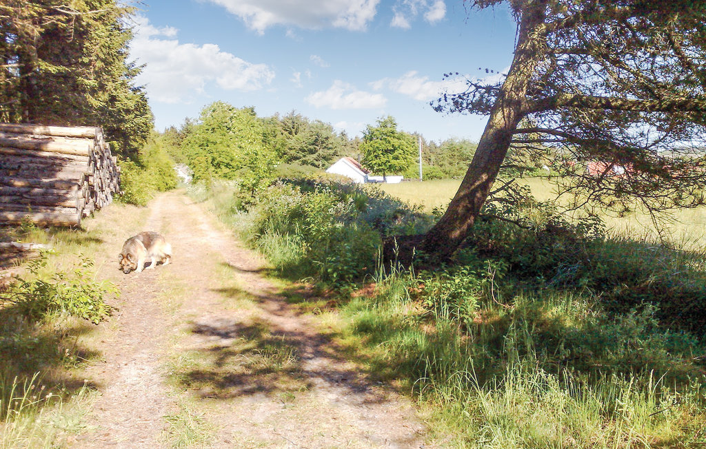 Ferienhaus - Tranum , Dänemark - C7406 25