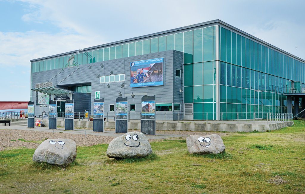 Ferienhaus - Vrist , Dänemark - C79461 25