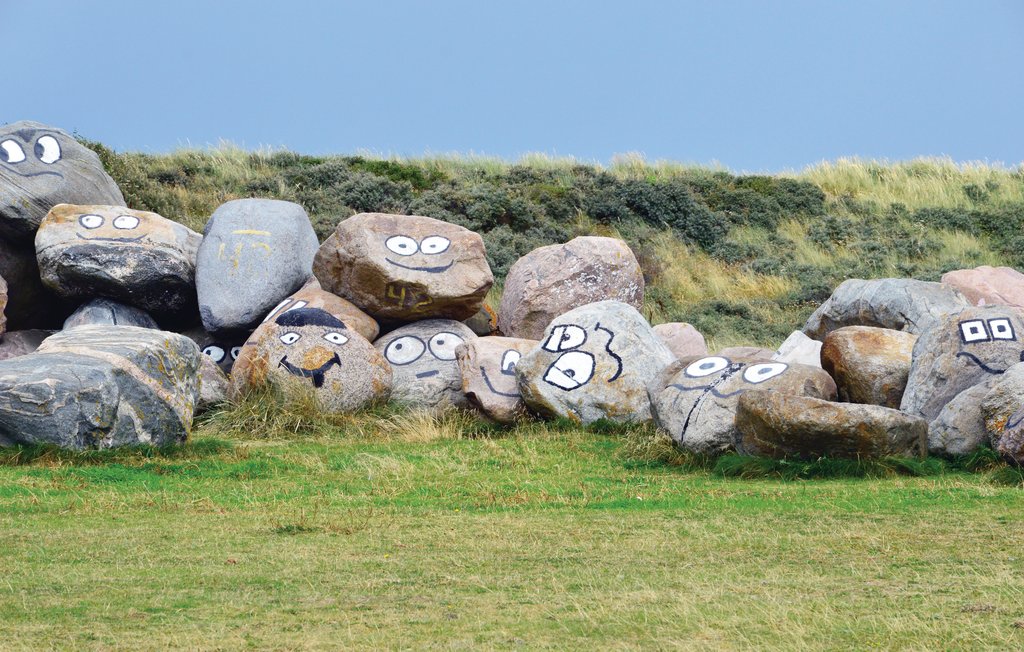 Ferienhaus - Vrist , Dänemark - C79461 26