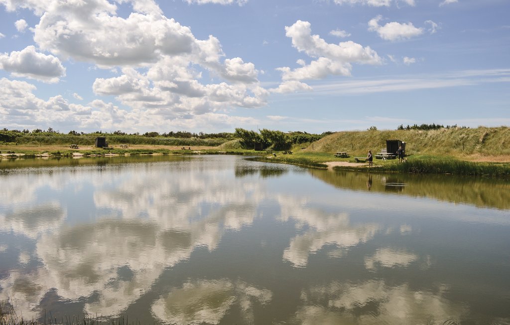 Ferienhaus - Vrist , Dänemark - C79216 26