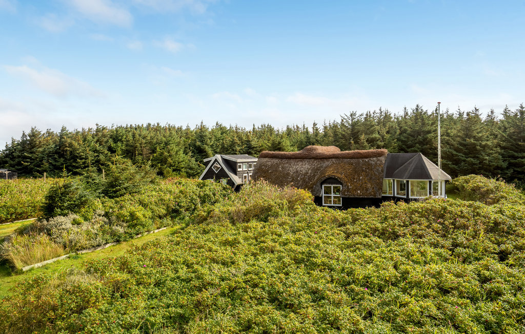 Feriehuse - Vrist , Danmark - C79206 5