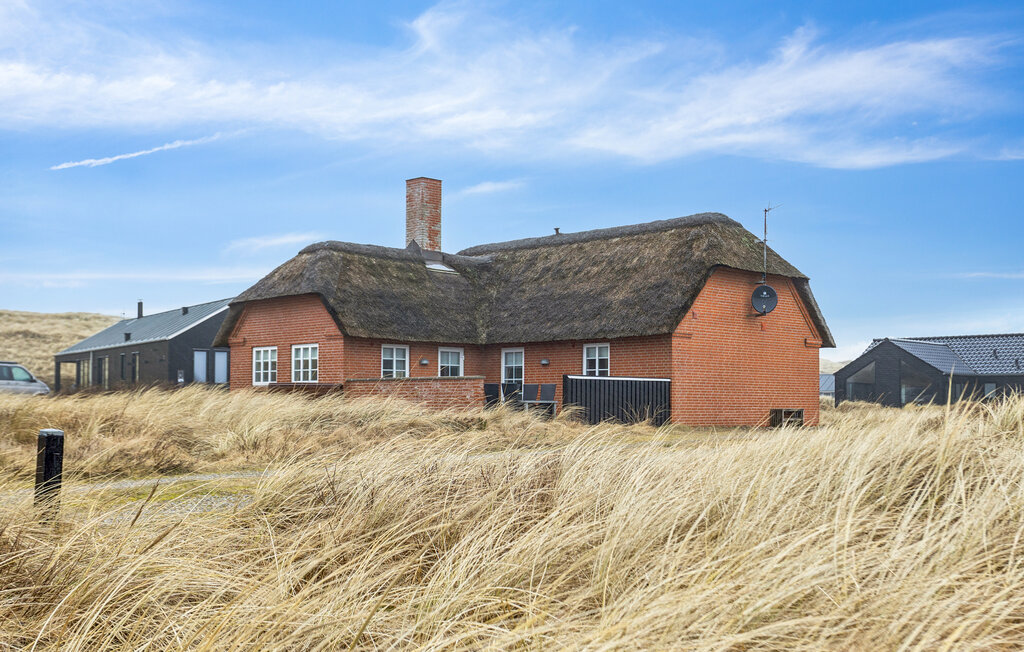 Ferienhaus - Vrist , Dänemark - C79291 9
