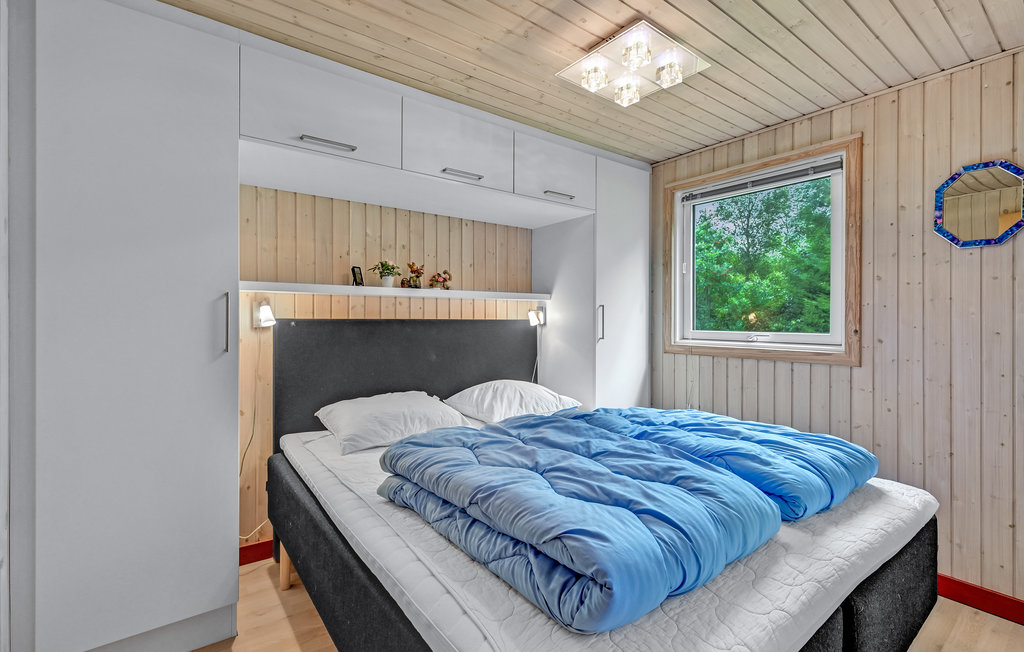 Feriehuse - Lyngshuse , Danmark - C80003 13