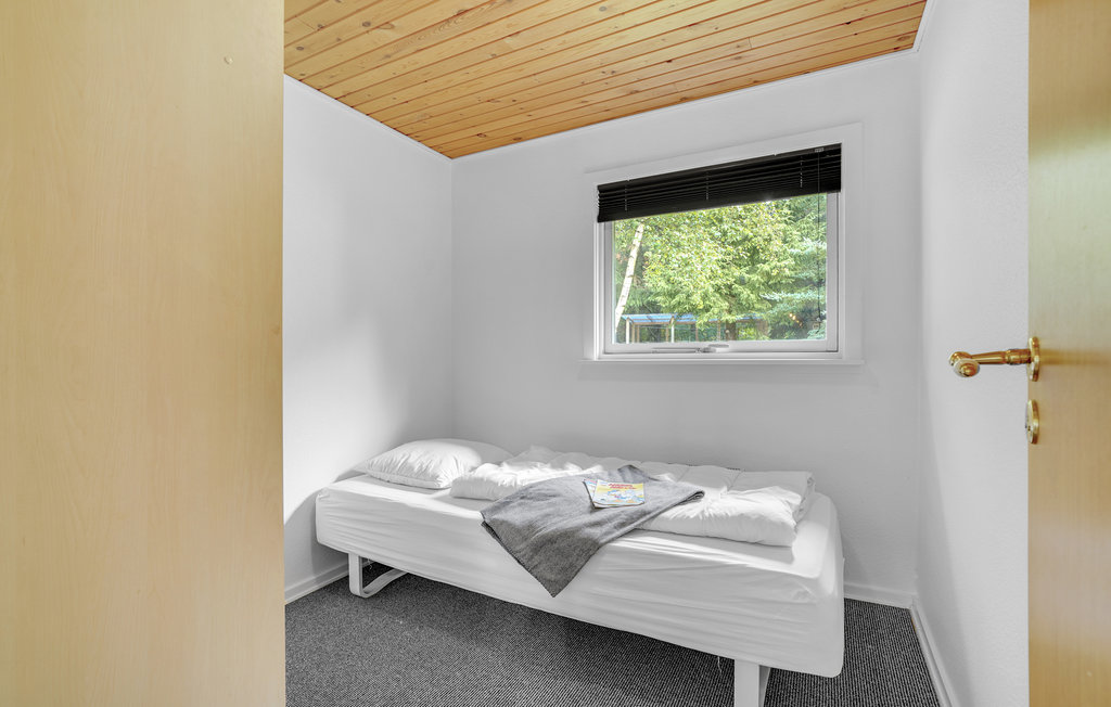 Feriehuse - Lyngshuse , Danmark - C80158 15