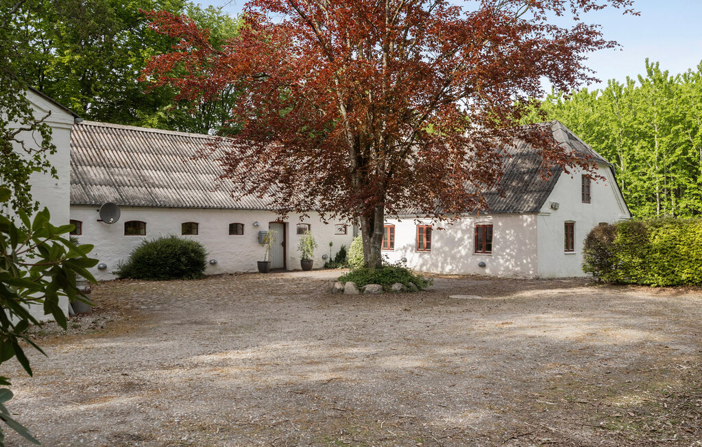 Ferienhaus - Skjern , Dänemark - C80626 11