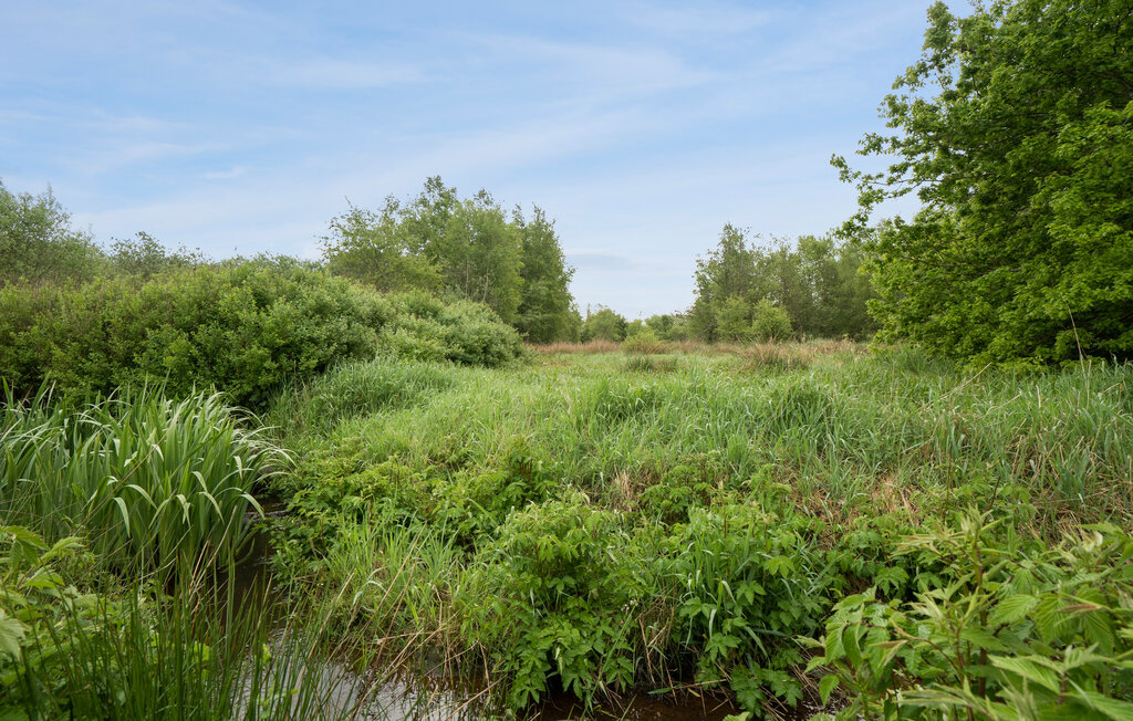 Feriehuse - Sønder Felding , Danmark - C80013 16