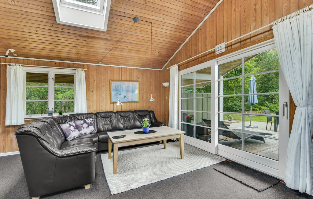 Ferienhaus - Alrum/Stadil , Dänemark - C81025 4