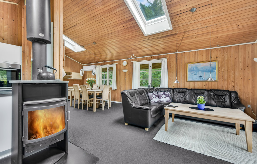 Ferienhaus - Alrum/Stadil , Dänemark - C81025 16