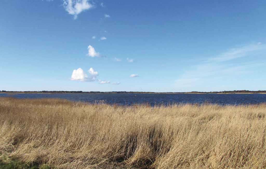 Ferienhaus - Alrum/Stadil , Dänemark - C81571 14