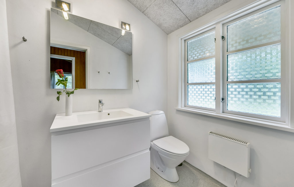 Ferienhaus - Alrum/Stadil , Dänemark - C81025 23