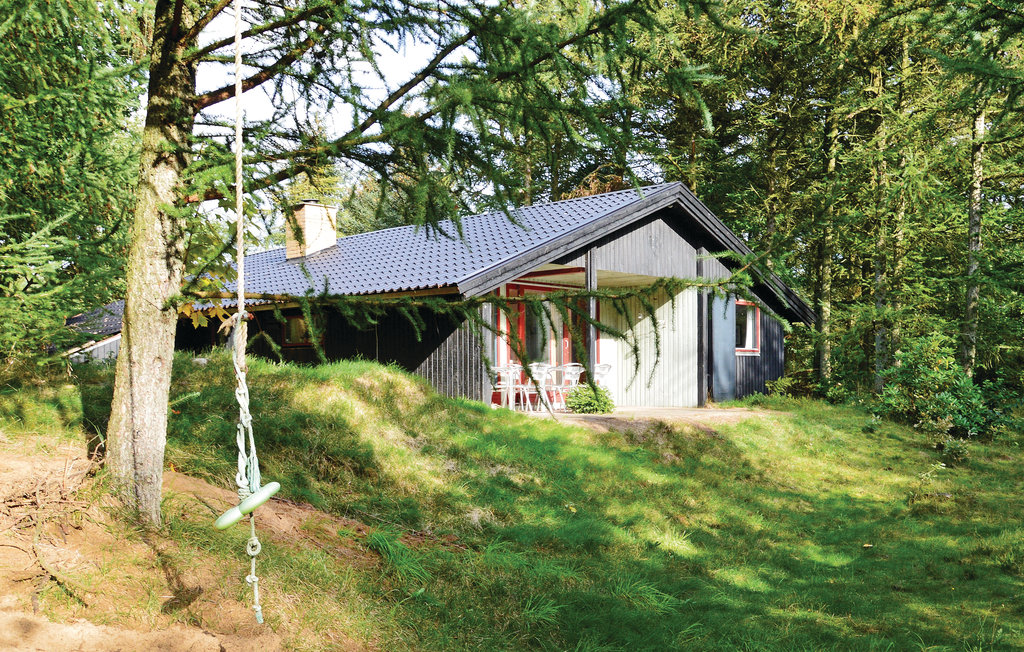 Ferienhaus - Alrum/Stadil , Dänemark - C81571 3