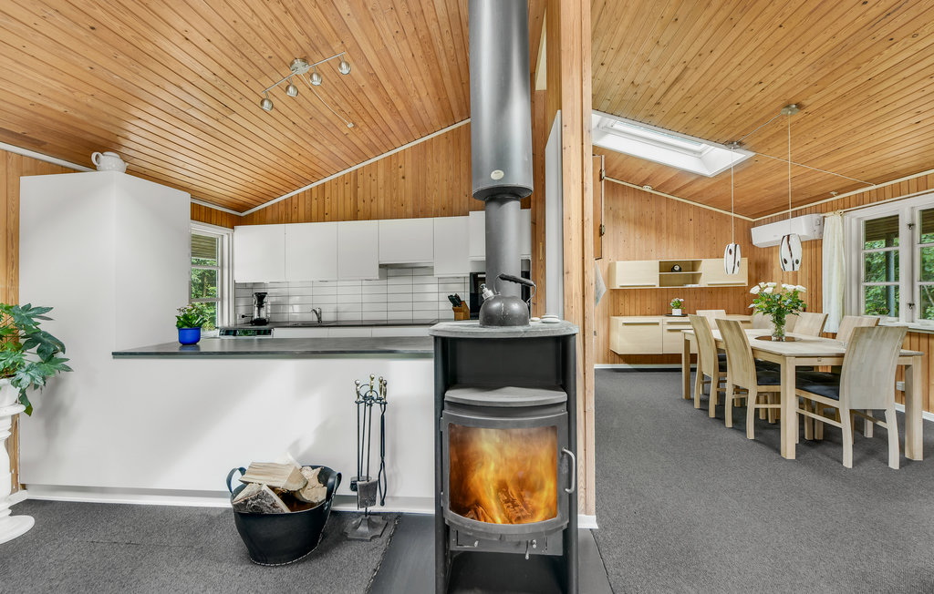 Ferienhaus - Alrum/Stadil , Dänemark - C81025 7