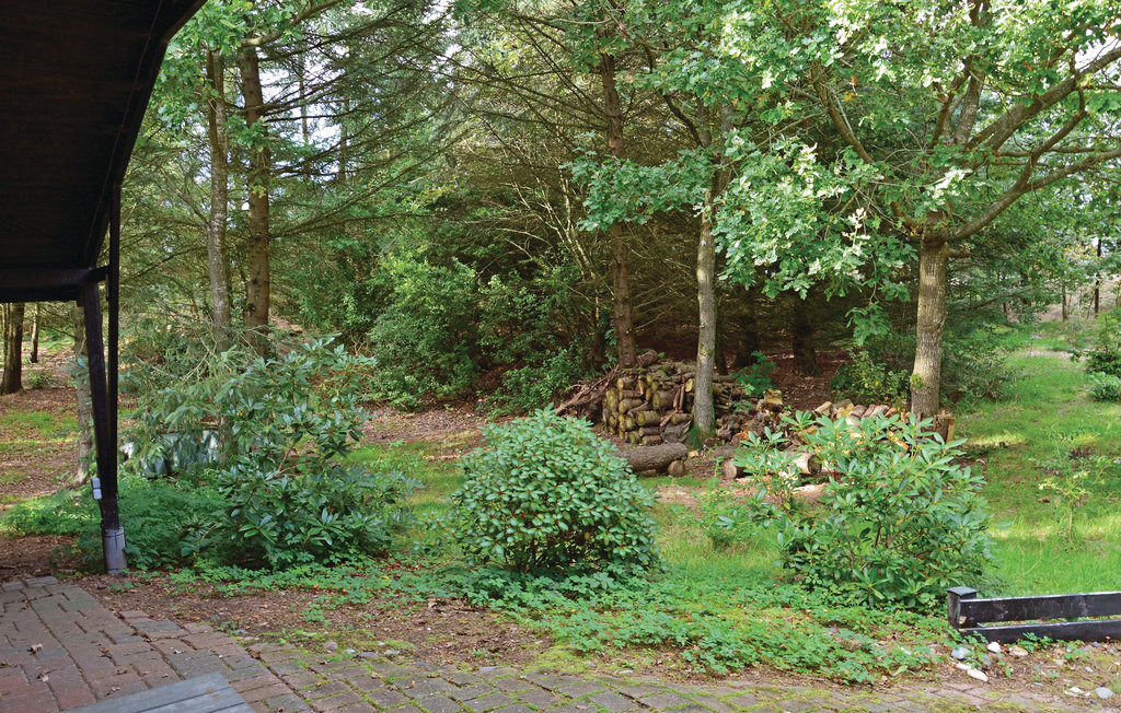 Ferienhaus - Alrum/Stadil , Dänemark - C81571 5