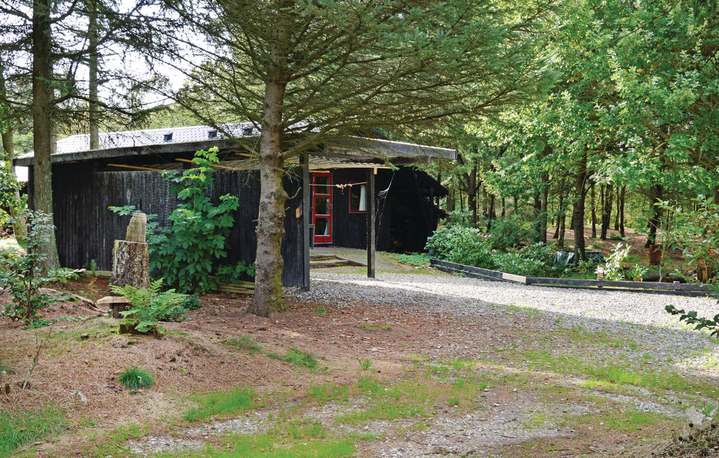 Ferienhaus - Alrum/Stadil , Dänemark - C81571 6