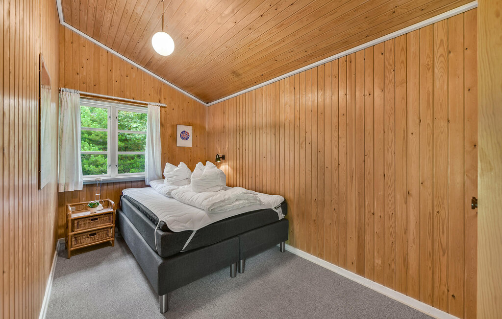 Ferienhaus - Alrum/Stadil , Dänemark - C81025 20