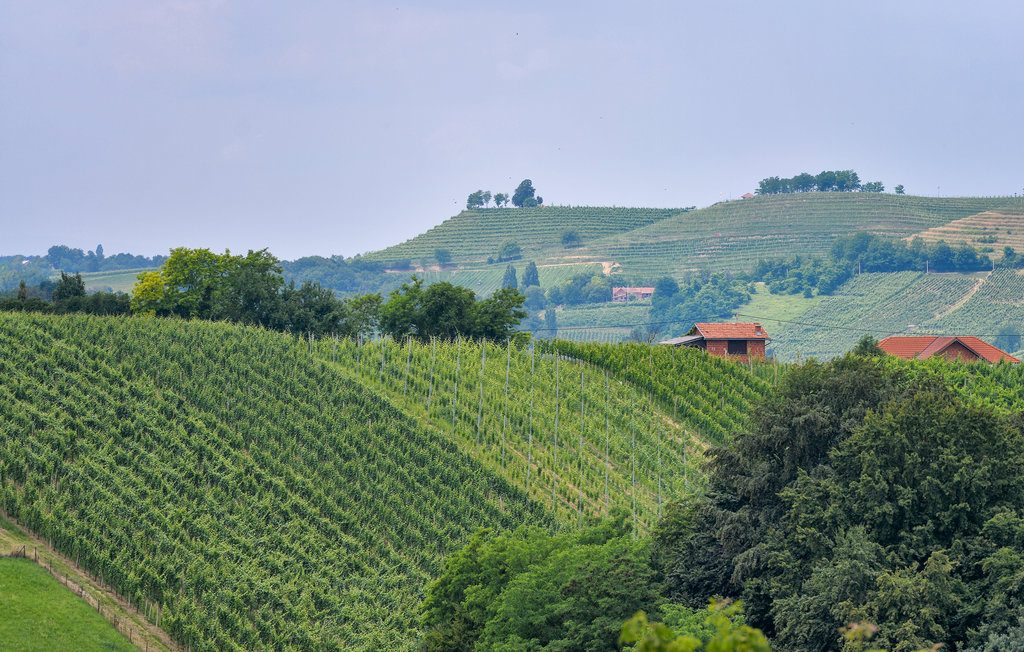 Feriehus - Cakovec-Zelezna Gora , Kroatia - CCC099 29