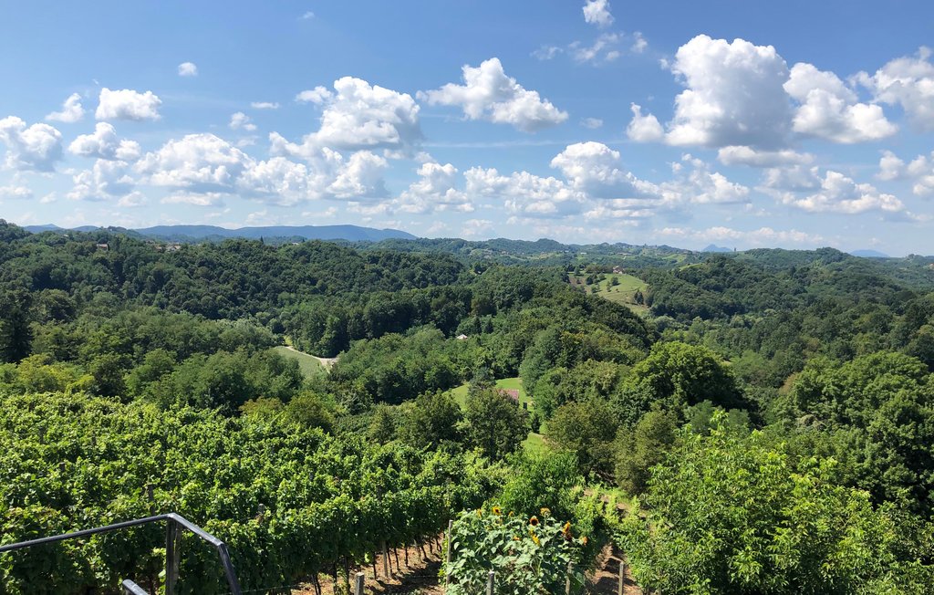 Ferienhaus - Varazdin-Falinic breg , Kroatien - CCC160 32