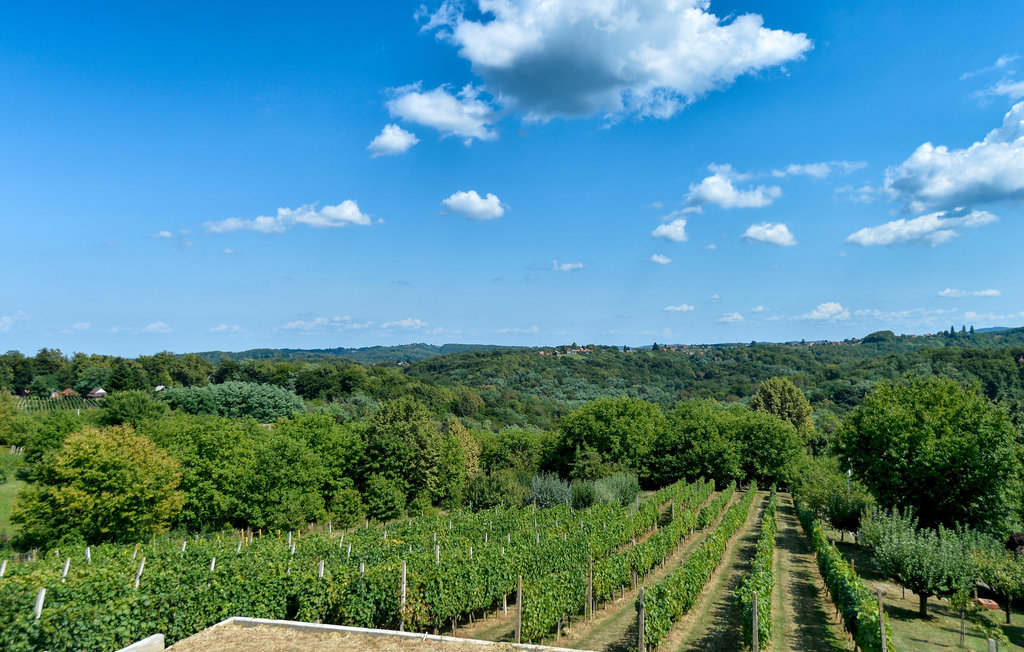 Feriehus - Varazdin-Vrtlinovec , Kroatia - CCC189 9