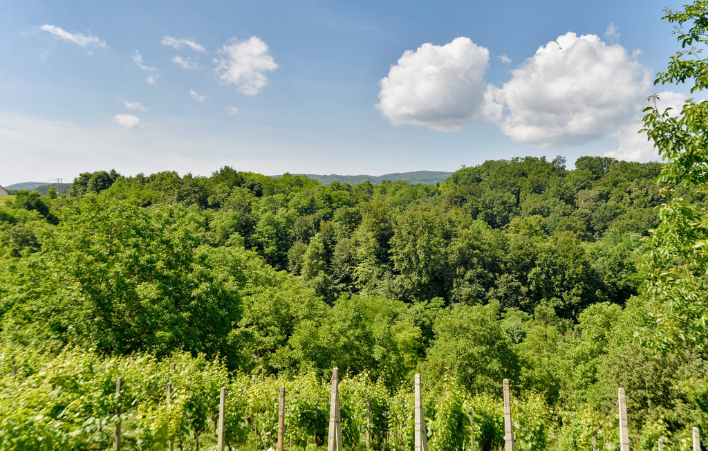 Ferienhaus - Zagreb-Bedenica , Kroatien - CCC197 21