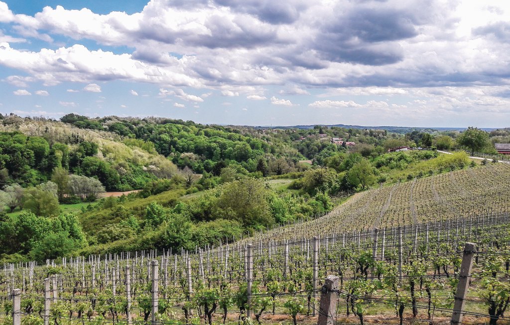 Ferienhaus - Hrnjanec-Sv.Ivan Zelina , Kroatien - CCC016 20
