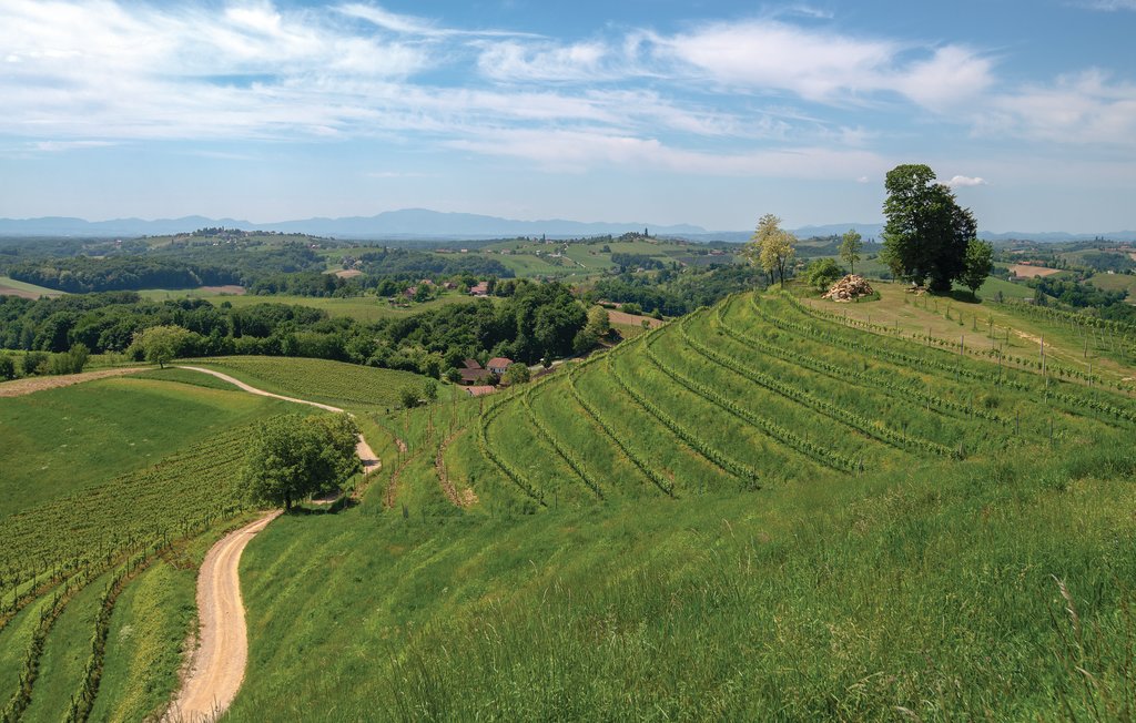 Ferienhaus - Sv.Martin na Muri-Strigova , Kroatien - CCC036 11