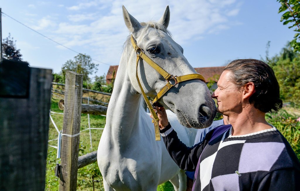 Feriehuse - Varazdin-Seketin , Kroatien - CCC076 41