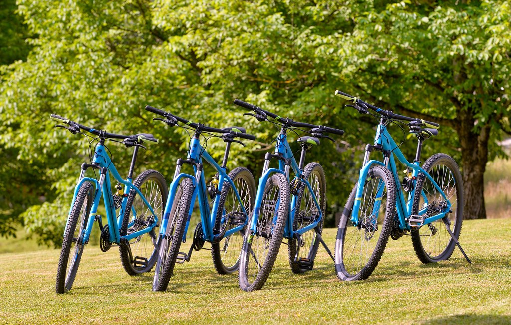 Ferienhaus - Velika Gorica-Pokupsko , Kroatien - CCC047 54