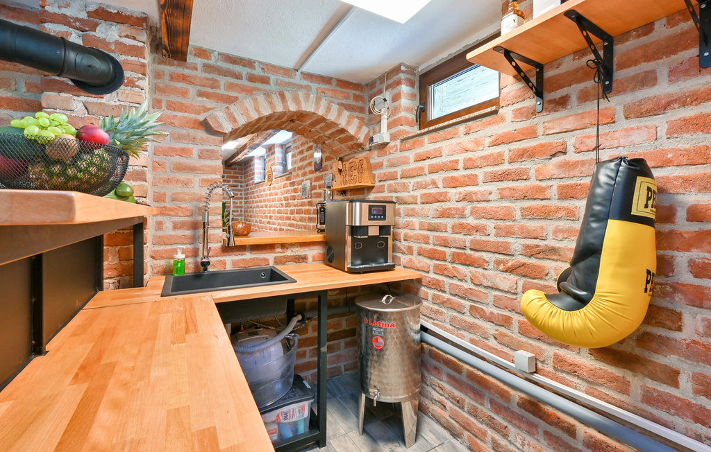 Feriehus - Bjelovar-Kobasicari , Kroatia - CCC355 29