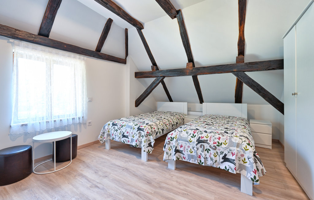 Feriehuse - Zagreb-Konjscina , Kroatien - CCC310 7