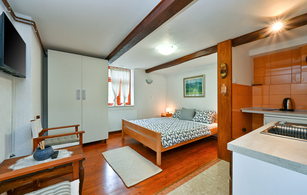 Feriehuse - Krapina - Donja Pacetina , Kroatien - CCC406 7