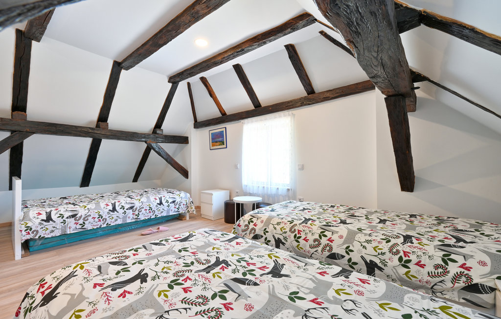 Feriehuse - Zagreb-Konjscina , Kroatien - CCC310 32