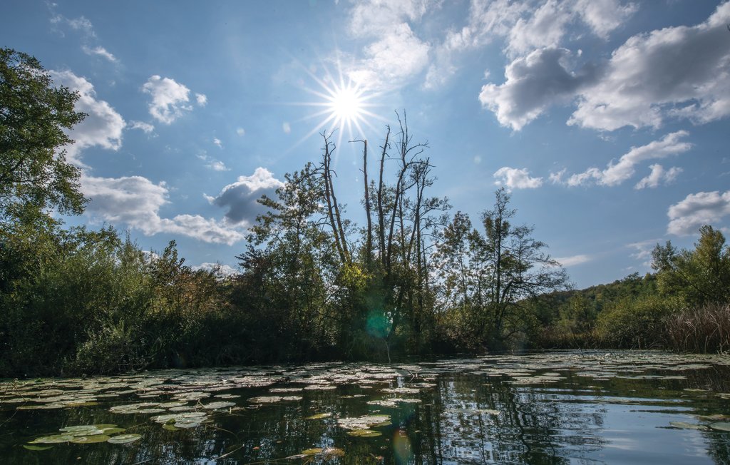 Ferienhaus - Karlovac-Gornji Zvecaj , Kroatien - CCC131 56
